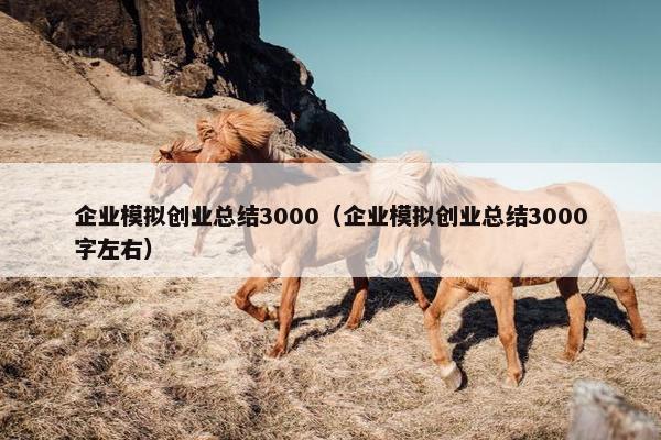 企业模拟创业总结3000（企业模拟创业总结3000字左右）