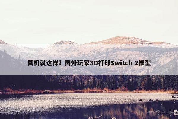 真机就这样？国外玩家3D打印Switch 2模型