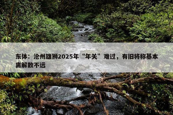 东体：沧州雄狮2025年“年关”难过，有旧将称基本离解散不远