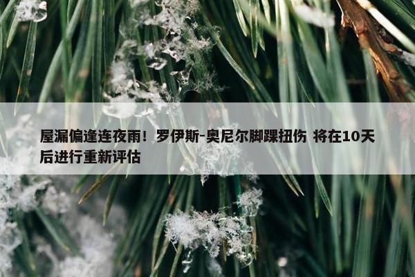 屋漏偏逢连夜雨！罗伊斯-奥尼尔脚踝扭伤 将在10天后进行重新评估