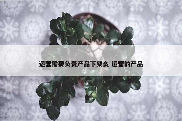 运营需要负责产品下架么 运营的产品