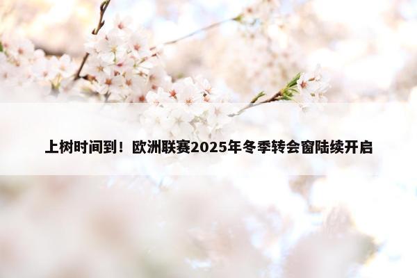 上树时间到！欧洲联赛2025年冬季转会窗陆续开启