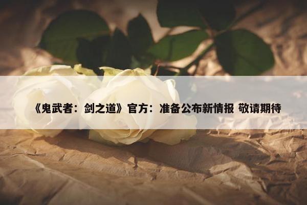 《鬼武者：剑之道》官方：准备公布新情报 敬请期待