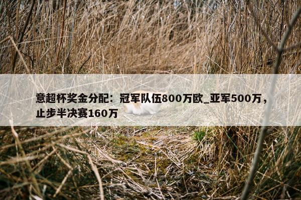 意超杯奖金分配：冠军队伍800万欧_亚军500万，止步半决赛160万