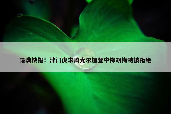 瑞典快报：津门虎求购尤尔加登中锋胡梅特被拒绝