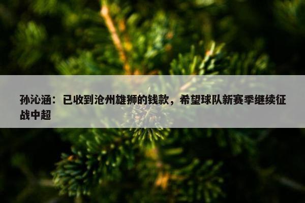 孙沁涵：已收到沧州雄狮的钱款，希望球队新赛季继续征战中超