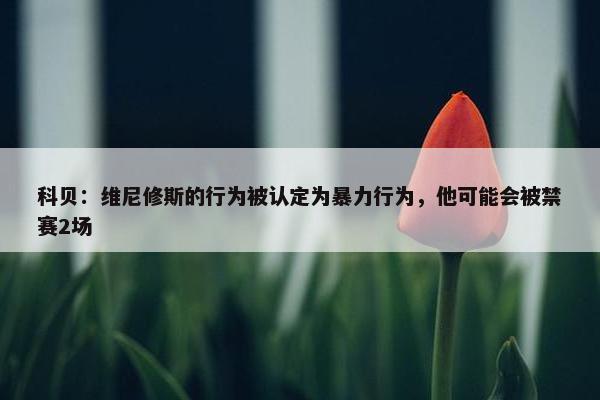 科贝：维尼修斯的行为被认定为暴力行为，他可能会被禁赛2场