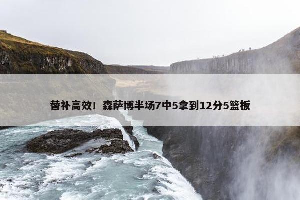 替补高效！森萨博半场7中5拿到12分5篮板