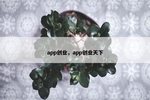 app创业，app创业天下