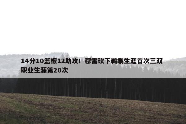 14分10篮板12助攻！穆雷砍下鹈鹕生涯首次三双 职业生涯第20次