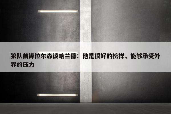 狼队前锋拉尔森谈哈兰德：他是很好的榜样，能够承受外界的压力