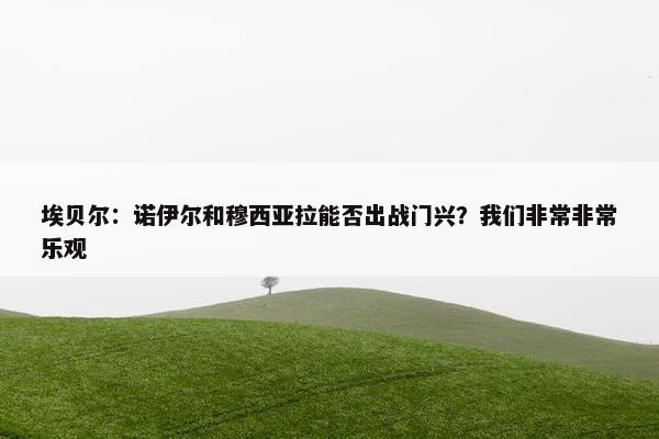 埃贝尔：诺伊尔和穆西亚拉能否出战门兴？我们非常非常乐观