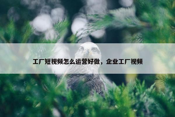 工厂短视频怎么运营好做，企业工厂视频