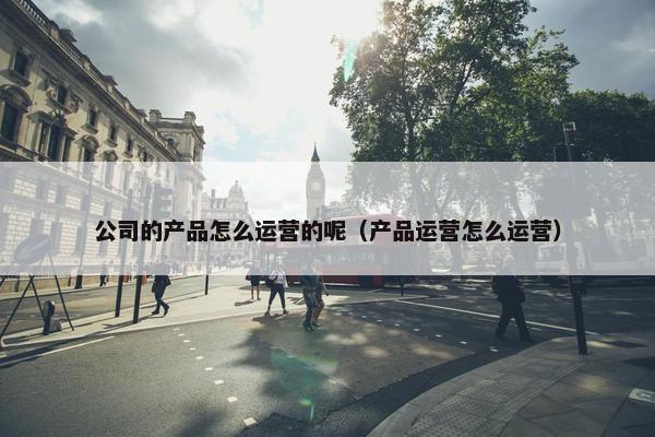 公司的产品怎么运营的呢（产品运营怎么运营）