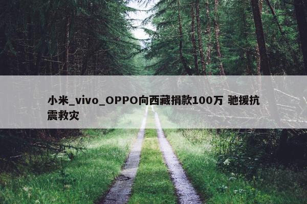 小米_vivo_OPPO向西藏捐款100万 驰援抗震救灾