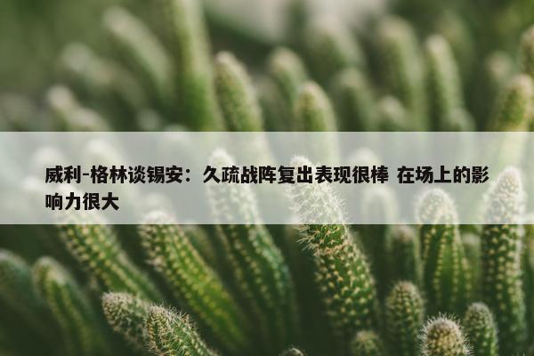 威利-格林谈锡安：久疏战阵复出表现很棒 在场上的影响力很大