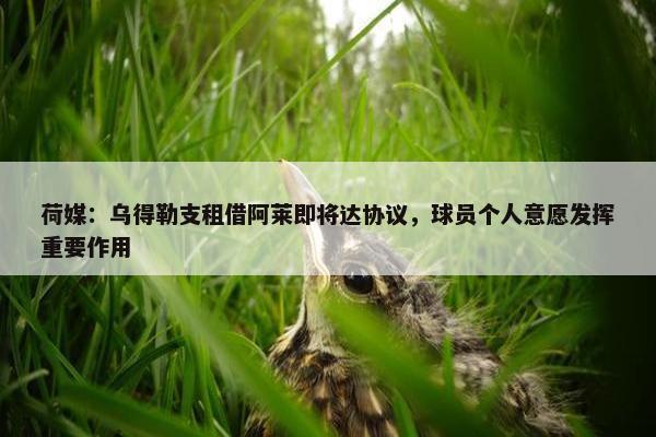 荷媒：乌得勒支租借阿莱即将达协议，球员个人意愿发挥重要作用