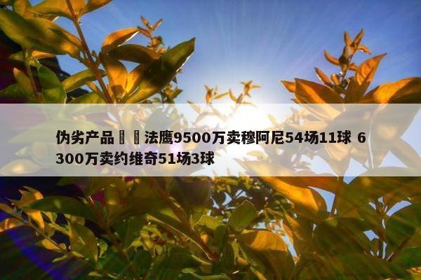 伪劣产品❌️法鹰9500万卖穆阿尼54场11球 6300万卖约维奇51场3球