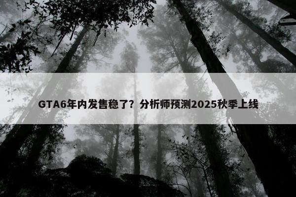 GTA6年内发售稳了？分析师预测2025秋季上线