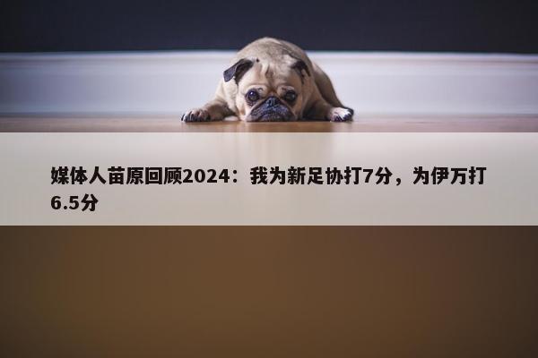 媒体人苗原回顾2024：我为新足协打7分，为伊万打6.5分