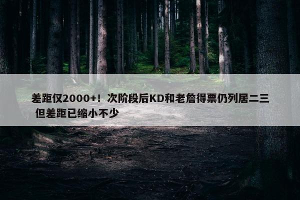 差距仅2000+！次阶段后KD和老詹得票仍列居二三 但差距已缩小不少