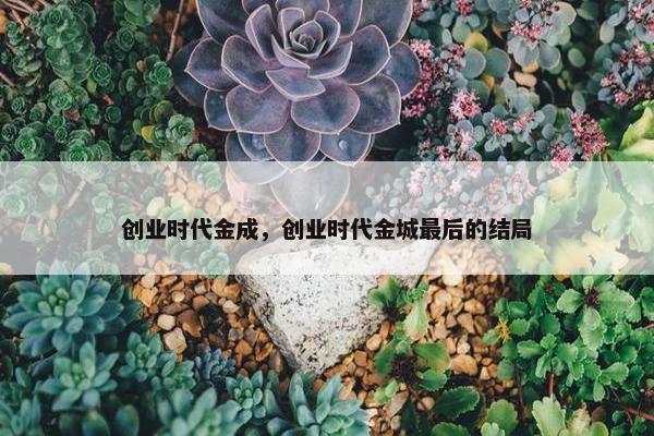 创业时代金成，创业时代金城最后的结局