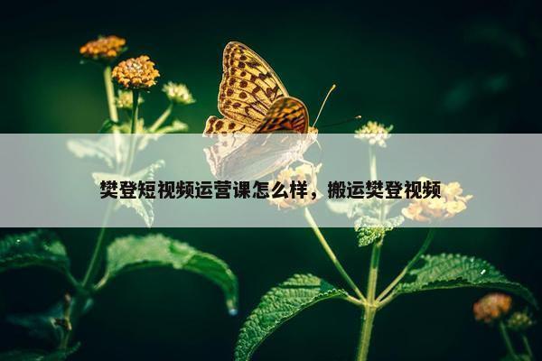 樊登短视频运营课怎么样，搬运樊登视频