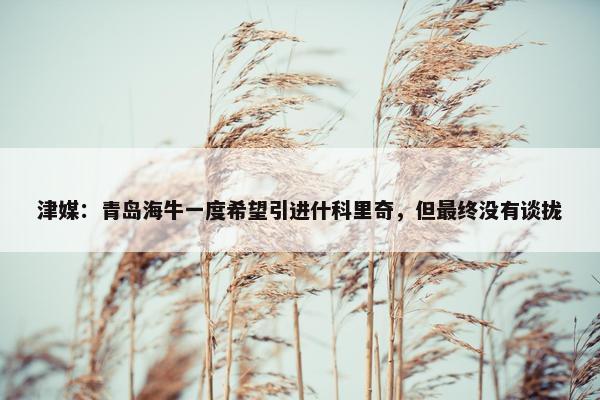 津媒：青岛海牛一度希望引进什科里奇，但最终没有谈拢