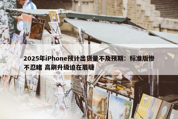 2025年iPhone预计出货量不及预期：标准版惨不忍睹 高刷升级迫在眉睫