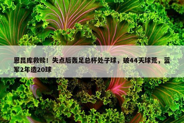 恩昆库救赎！失点后轰足总杯处子球，破44天球荒，蓝军2年造20球