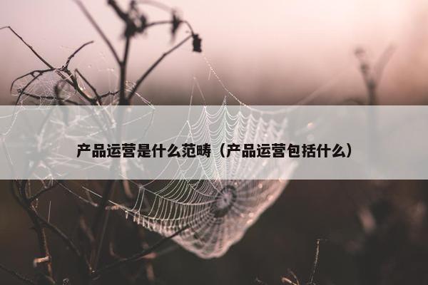 产品运营是什么范畴（产品运营包括什么）