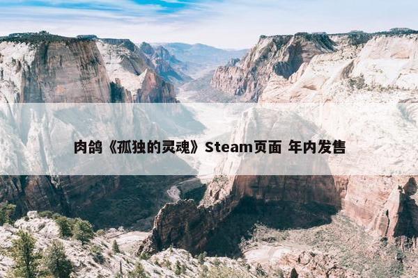 肉鸽《孤独的灵魂》Steam页面 年内发售