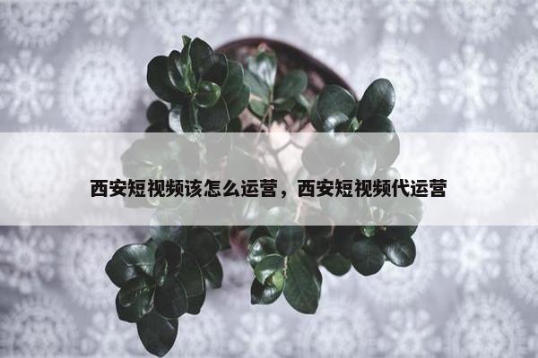 西安短视频该怎么运营，西安短视频代运营