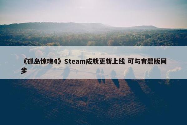 《孤岛惊魂4》Steam成就更新上线 可与育碧版同步