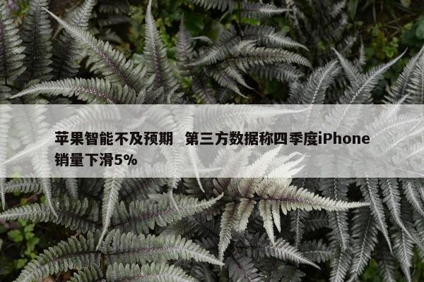 苹果智能不及预期  第三方数据称四季度iPhone销量下滑5%