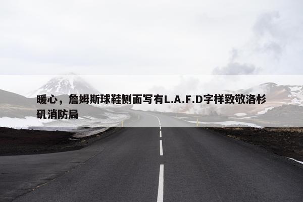 暖心，詹姆斯球鞋侧面写有L.A.F.D字样致敬洛杉矶消防局