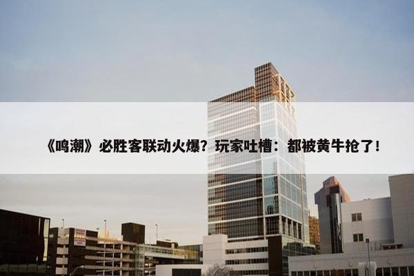 《鸣潮》必胜客联动火爆？玩家吐槽：都被黄牛抢了！