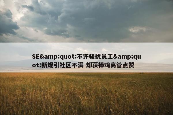 SE&quot;不许骚扰员工&quot;新规引社区不满 却获棒鸡高管点赞