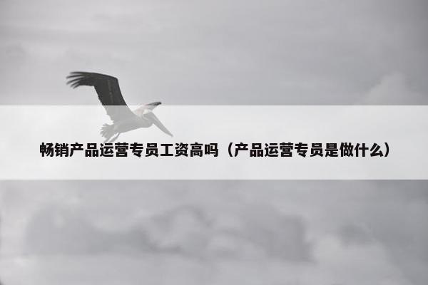 畅销产品运营专员工资高吗（产品运营专员是做什么）