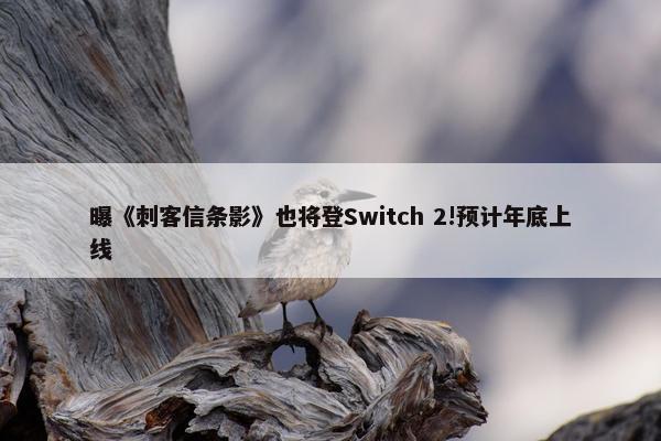 曝《刺客信条影》也将登Switch 2!预计年底上线