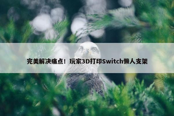 完美解决痛点！玩家3D打印Switch懒人支架