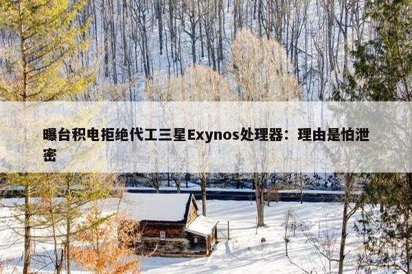 曝台积电拒绝代工三星Exynos处理器：理由是怕泄密