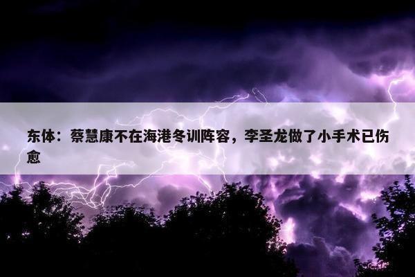 东体：蔡慧康不在海港冬训阵容，李圣龙做了小手术已伤愈