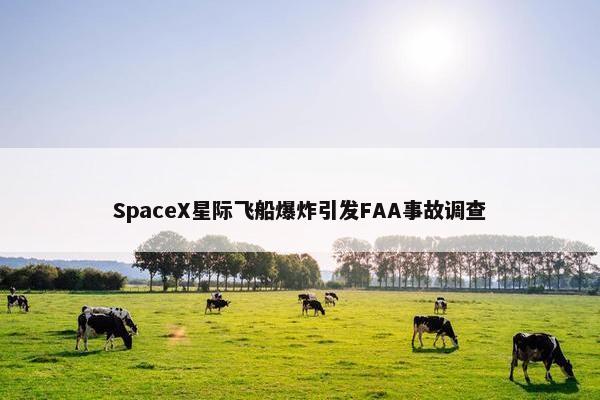 SpaceX星际飞船爆炸引发FAA事故调查