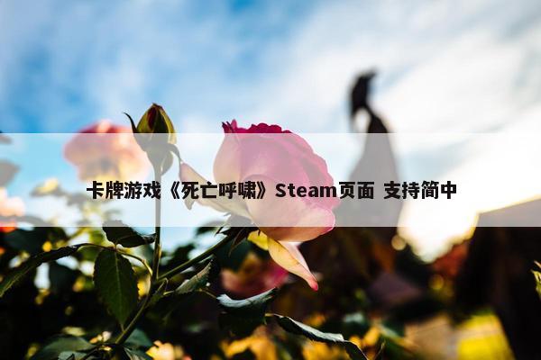 卡牌游戏《死亡呼啸》Steam页面 支持简中