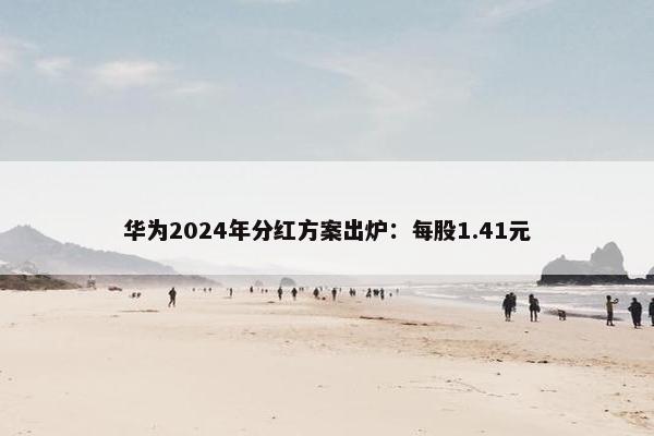 华为2024年分红方案出炉：每股1.41元