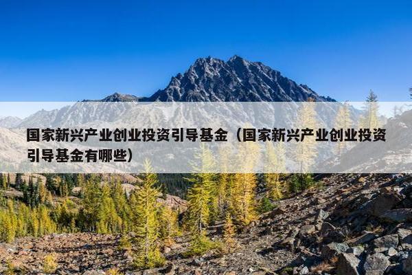 国家新兴产业创业投资引导基金（国家新兴产业创业投资引导基金有哪些）