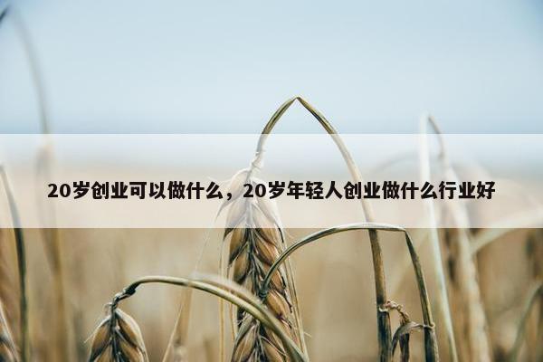 20岁创业可以做什么，20岁年轻人创业做什么行业好