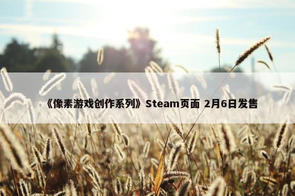 《像素游戏创作系列》Steam页面 2月6日发售