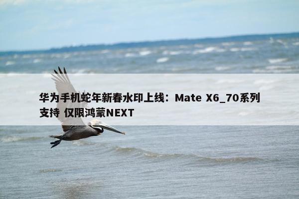 华为手机蛇年新春水印上线：Mate X6_70系列支持 仅限鸿蒙NEXT